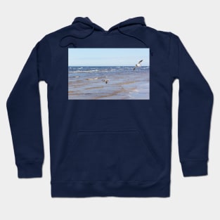 Two seagulls flying above the water Hoodie